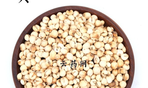 枣在中药中的作用、中药大枣的别名 -中药里枣的用途网