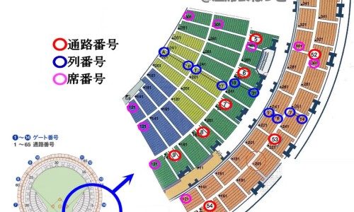 中医开的药枣是什么-枣在中药中的作用、中药大枣的别名 -中药里枣的用途网